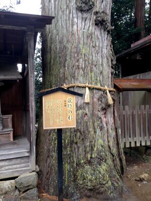 豊受大神社2014-4.jpg