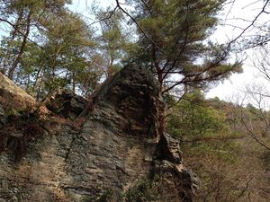 高熊山の蟇岩2.jpg