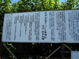 皆神山の境内の説明書4.jpg